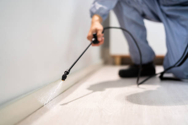Professional exterminator conducting IPM assessment in Shafer